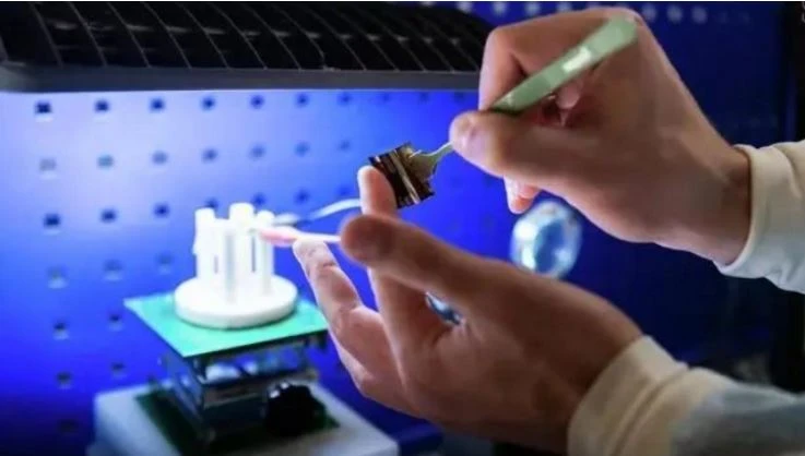 perovskite solar cells