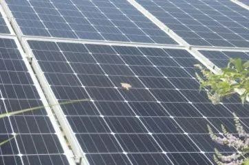 solar panel solar panel