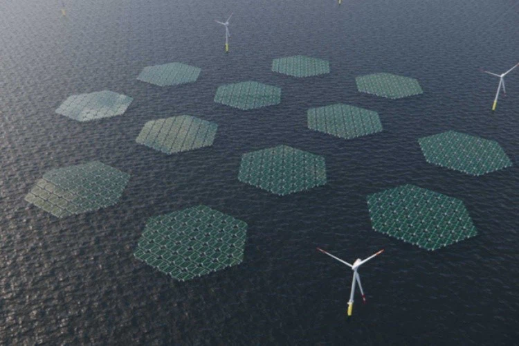 Dutch floating photovoltaic Dutch floating photovoltaic